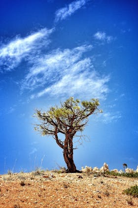 percorsi individuali di Mindfulness