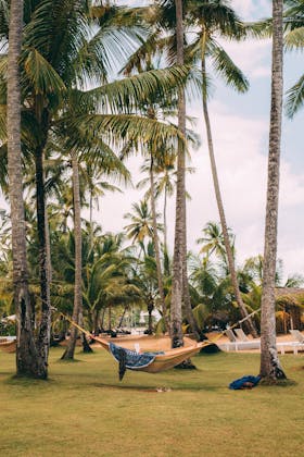 Mindfulness cos'è