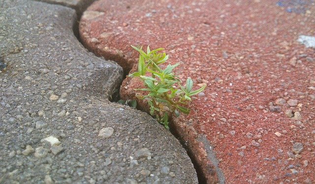 Come sviluppare la determinazione