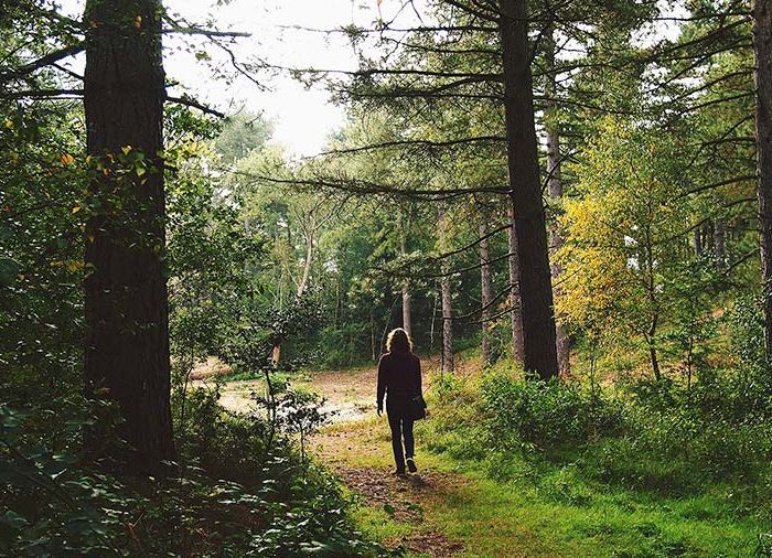 La meditazione camminata mindfulness