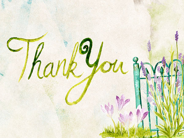 I benefici della gratitudine 1