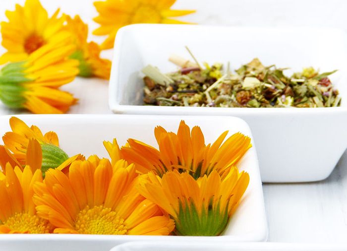 Cos'è la naturopatia olistica