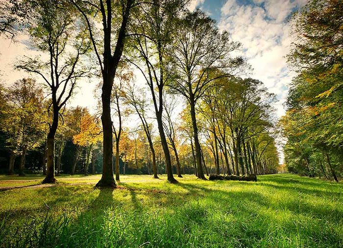 Mindfulness all_aria aperta