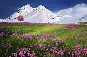 Come attrarre ciò che desideri (2)