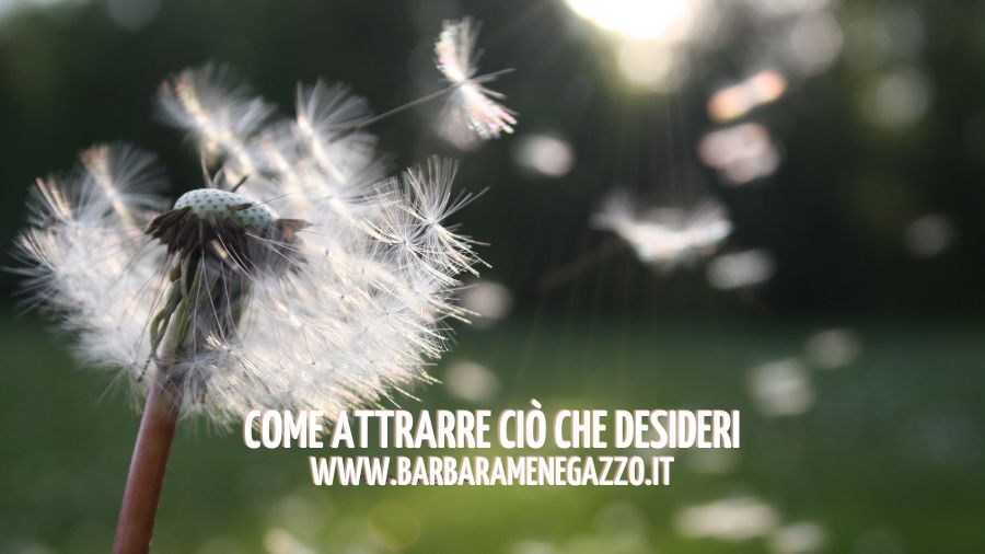 Come attrarre ciò che desideri (3)