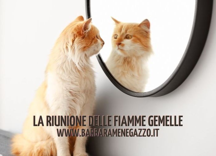 La riunione delle Fiamme Gemelle (3)