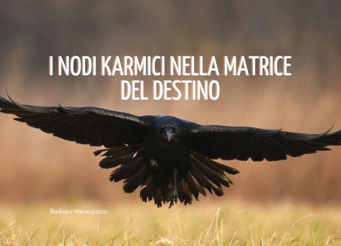I nodi karmici nella matrice del destino (4)