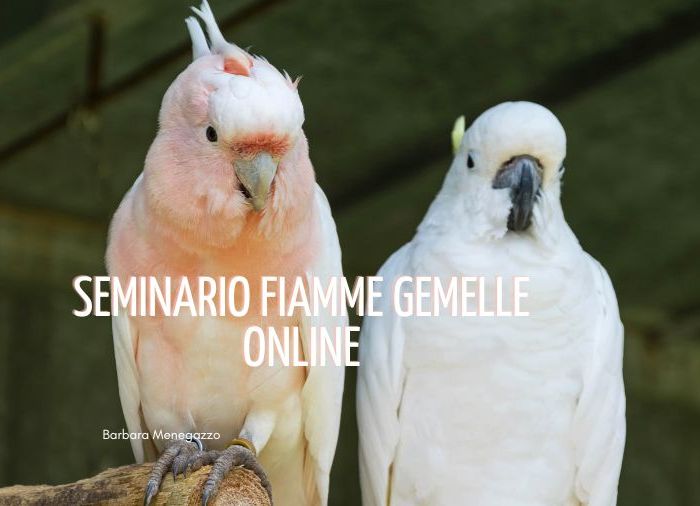 seminario fiamme gemelle online
