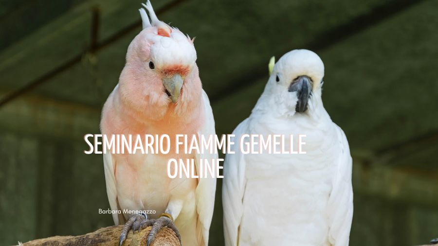 seminario fiamme gemelle online