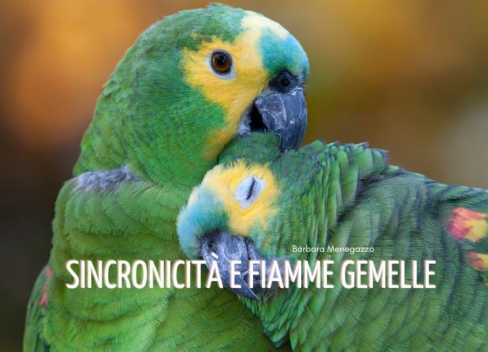 sincronicità e fiamme gemelle