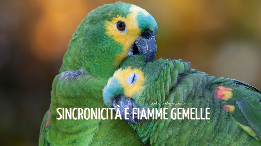 sincronicità e fiamme gemelle