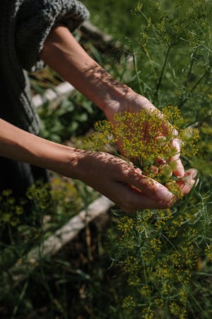 detox energetico di maggio